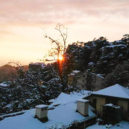 The Thistle Lodge Shimla Exterior foto