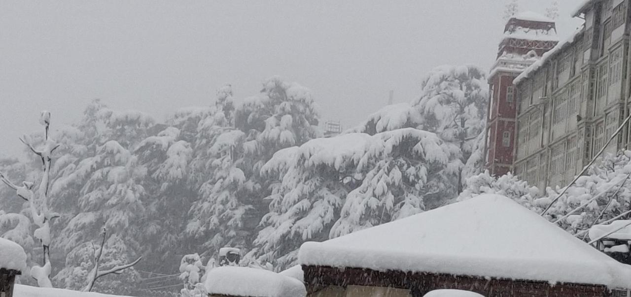 The Thistle Lodge Shimla Exterior foto